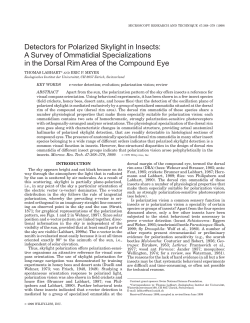 Detectors for Polarized Skylight in Insects: A Survey of Ommatidial