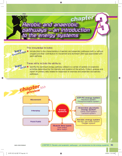 Aerobic and anaerobic pathways &ndash; an introduction to the energy