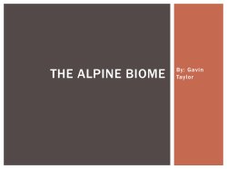 The Alpine biome