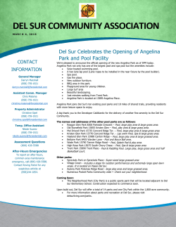 DEL SUR COMMUNITY ASSOCIATION