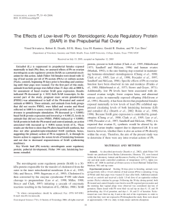 (StAR) in the Prepubertal Rat Ovary