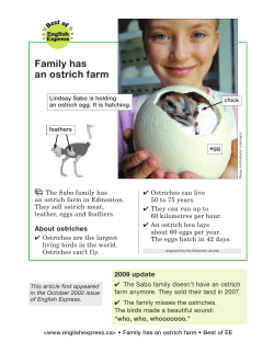 Family has an ostrich farm - Alberta Advanced Education