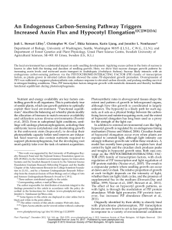 An Endogenous Carbon-Sensing Pathway