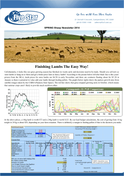 Finishing Lambs The Easy Way!