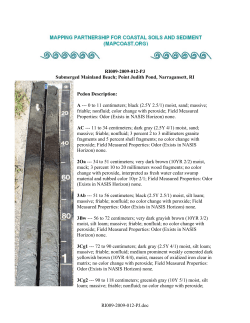 Pedon Description Report - Metric Units