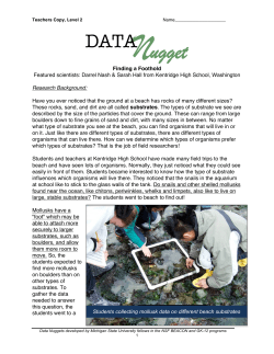 Teacher Guide - Data Nuggets