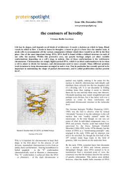 PDF version