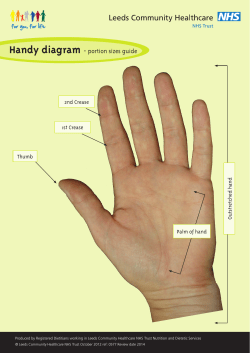 Handy diagram - portion sizes guide
