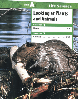 Looking at Plants and Animals