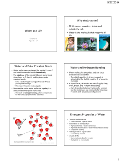 Chapter 3: Water and Life