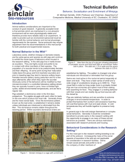 Behavior, Socialization and Enrichment of Minipigs