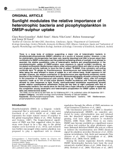 Sunlight modulates the relative importance of heterotrophic