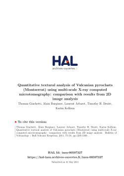 (Montserrat) using multi-scale X-ray computed - HAL-Insu