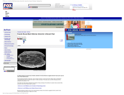 Fossils Reveal Much Warmer Antarctic in Recent Past