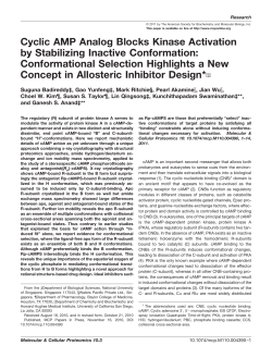 Cyclic AMP Analog Blocks Kinase Activation by