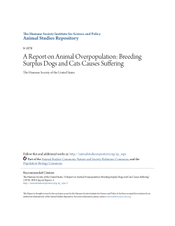 A Report on Animal Overpopulation: Breeding Surplus Dogs and