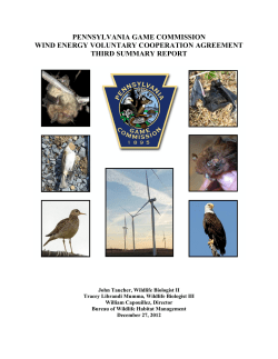 Third Summary Report - Bats and Wind Energy Cooperative