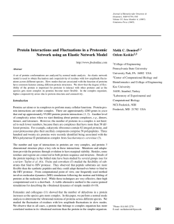 Protein Interactions and Fluctuations in a Proteomic Network using