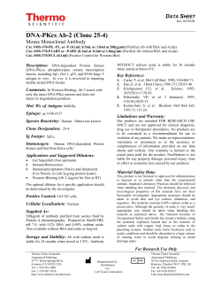 DNA-PKcs Ab-2 (Clone 25-4)