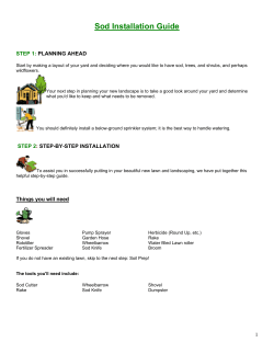 Sod Installation Guide - Watersavers Irrigation