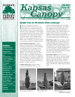 Upright Trees for the Kansas Urban Landscape