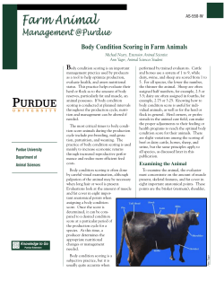 4-H-550-W , Body Condition Scoring in Farm