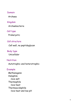 Domain Archaea Kingdom Archaebacteria Cell type Prokaryotic Cell
