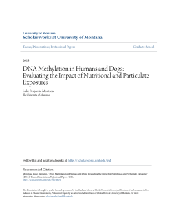 Evaluating the Impact of Nutritional and Particulate Exposures