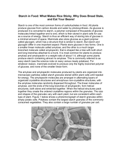 Starch in Food: What Makes Rice Sticky, Why Does