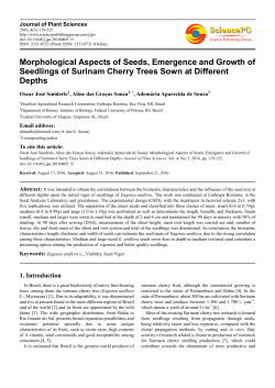 Morphological Aspects of Seeds, Emergence and Growth of