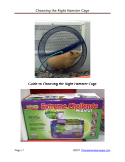 Choosing the Right Hamster Cage