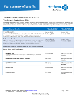 Platinum PPO 200/10%/3000