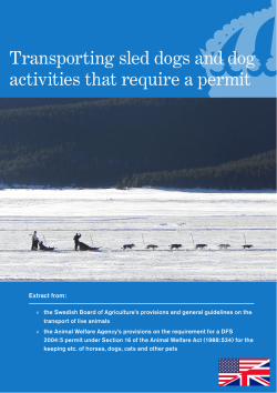 Transporting sled dogs and dog activities that require permit