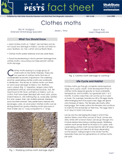 Clothes Moths - Utah State University Extension