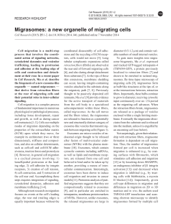 Migrasomes: a new organelle of migrating cells