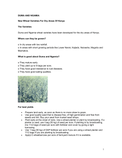 DUMA AND NGAMIA New Wheat Varieties For Dry Areas Of