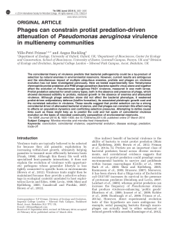 Phages can constrain protist predation-driven attenuation of