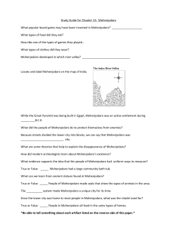 Study Guide for Chapter 14 Mohenjodaro