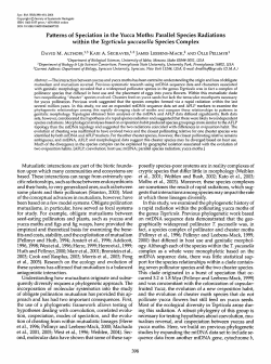 Patterns of Speciation in the Yucca Moths