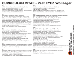 CURRICULUM VITAE - Peat EYEZ Wollaeger