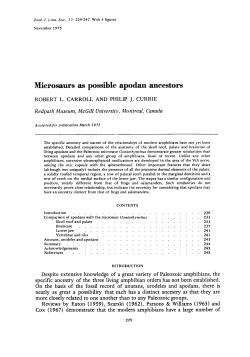 Microsaurs as possible apodan ancestors