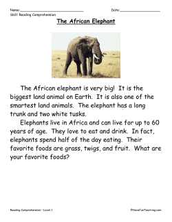 The African elephant is very big! It is the biggest land animal on