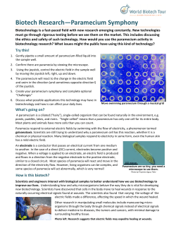 Paramecium Symphony activity and presenter guide