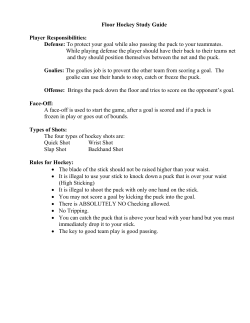 Floor Hockey Study Guide