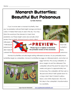 Monarch Butterflies - Super Teacher Worksheets