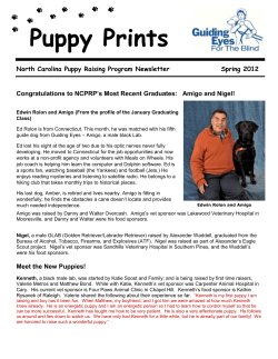 Puppy Prints - Guiding Eyes for the Blind