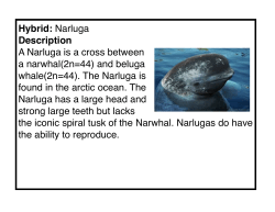Hybrid Profiles