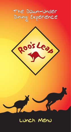 Lunch Menu - Roo`s Leap