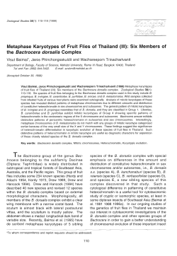 Metaphase Karyotypes of Fruit Flies of Thailand (III): Six Members of