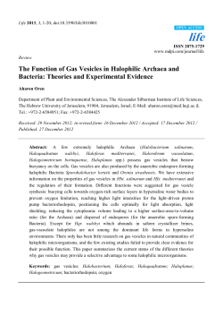 The Function of Gas Vesicles in Halophilic Archaea